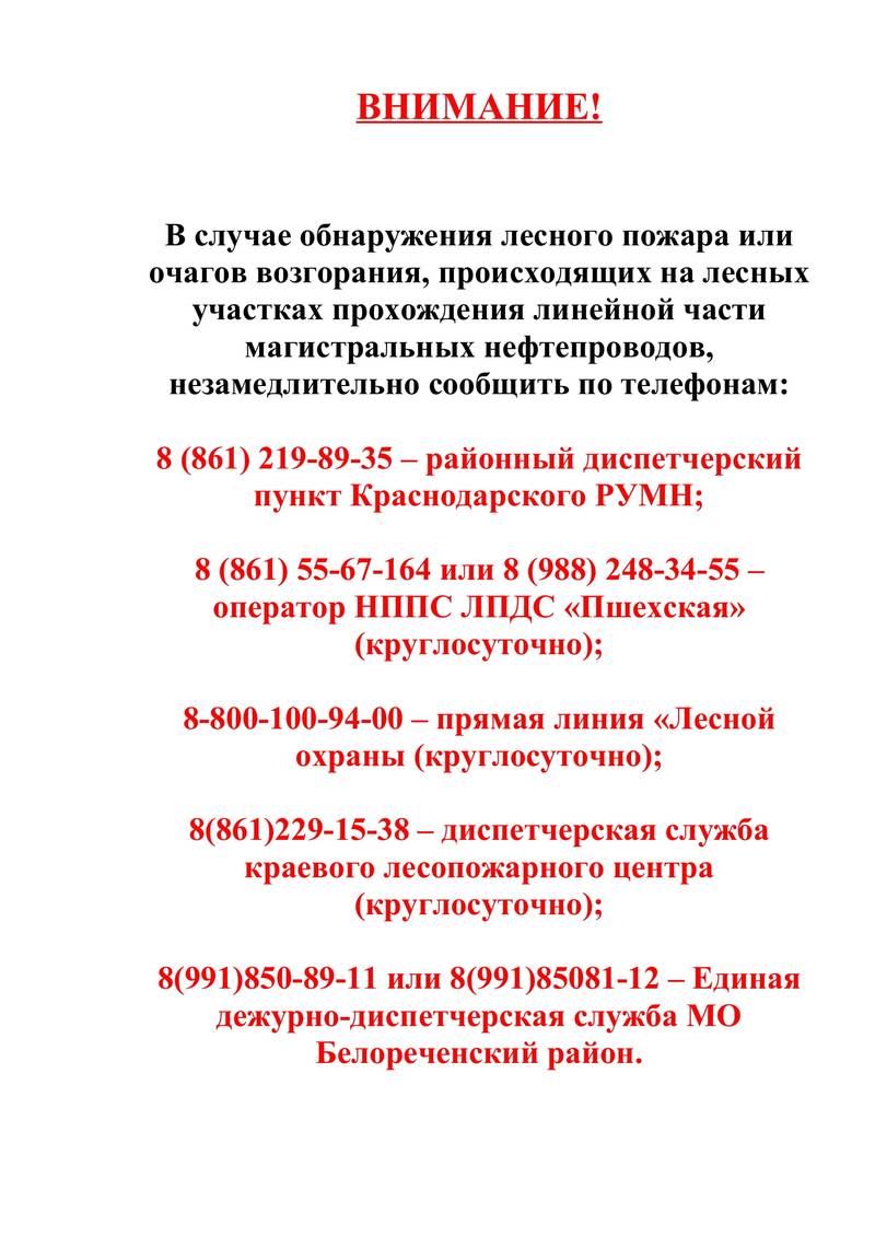 В случае обнаружение лесного пожара — Дружненское сельское поселение